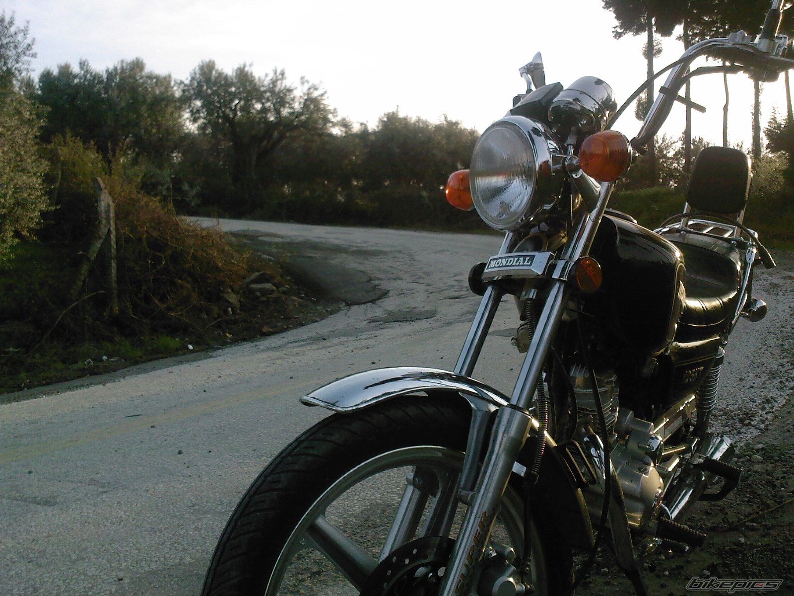 Photo 1237783