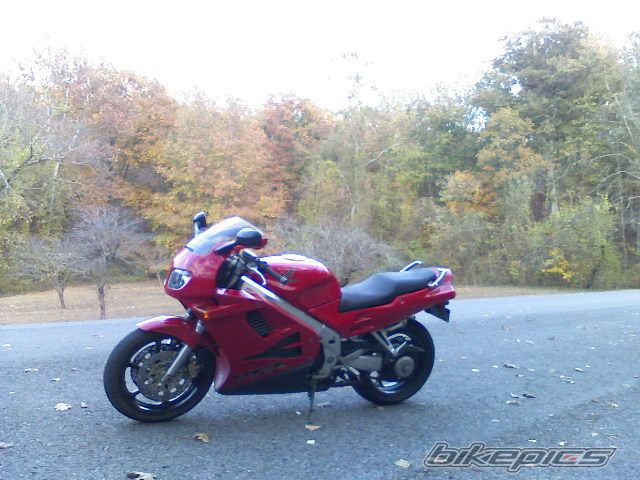 Photo 1237855