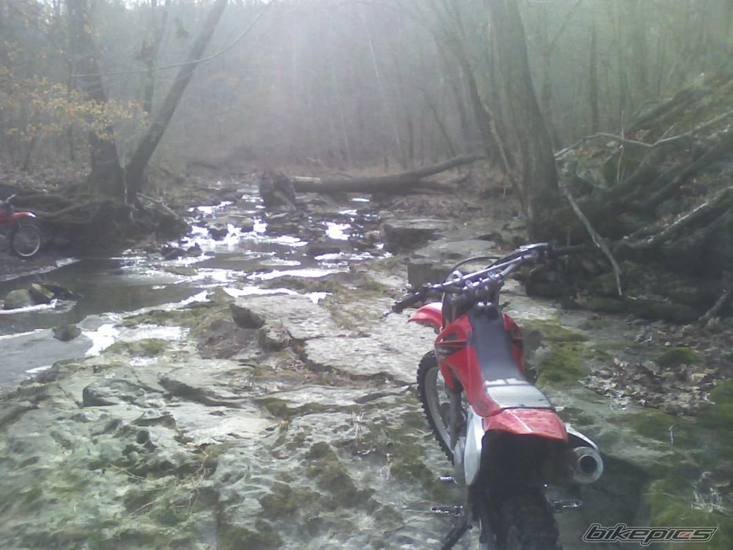 Photo 1237862
