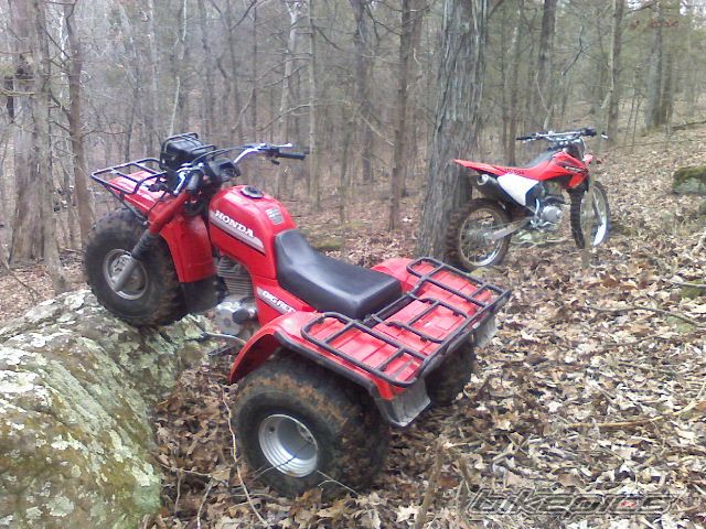 Bike Photo 1237866