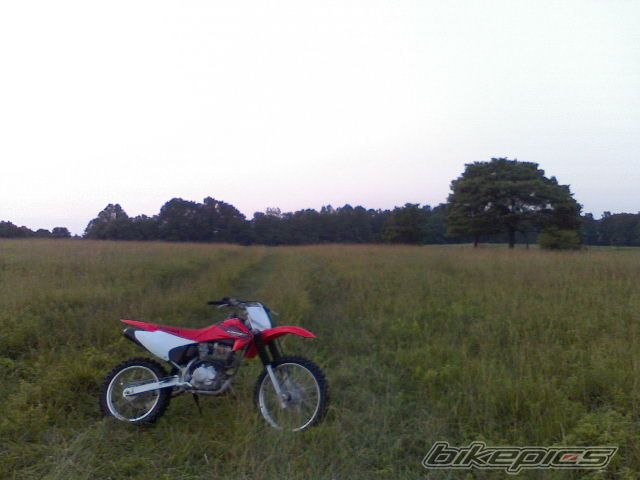 Photo 1237869