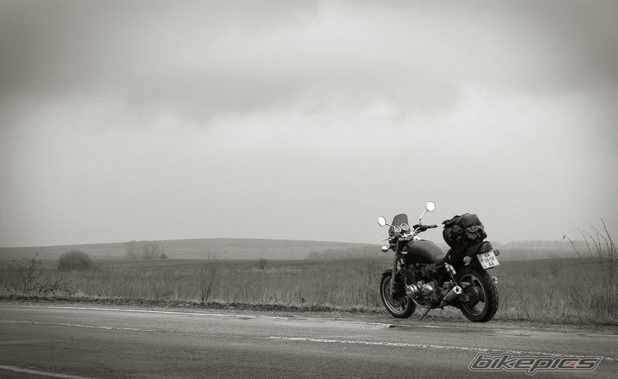 Photo 1237878