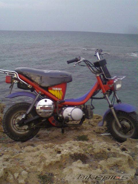 Photo 1237894