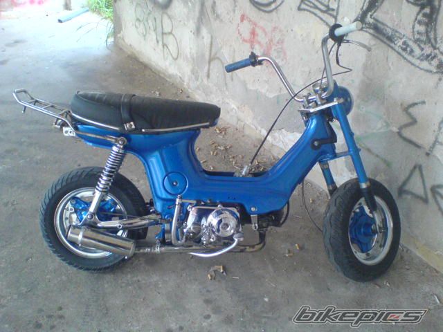 Photo 1237901