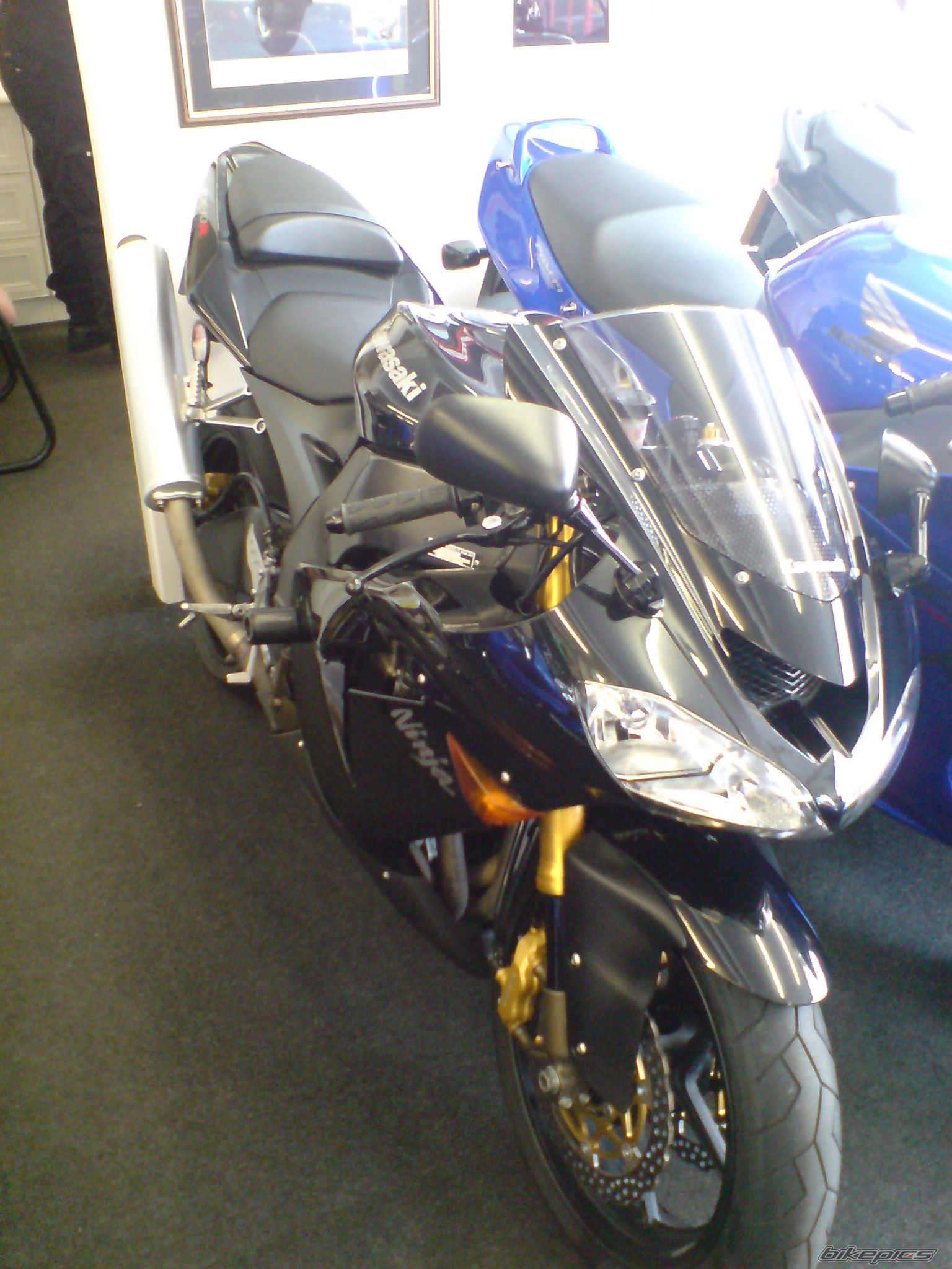 Photo 1237954