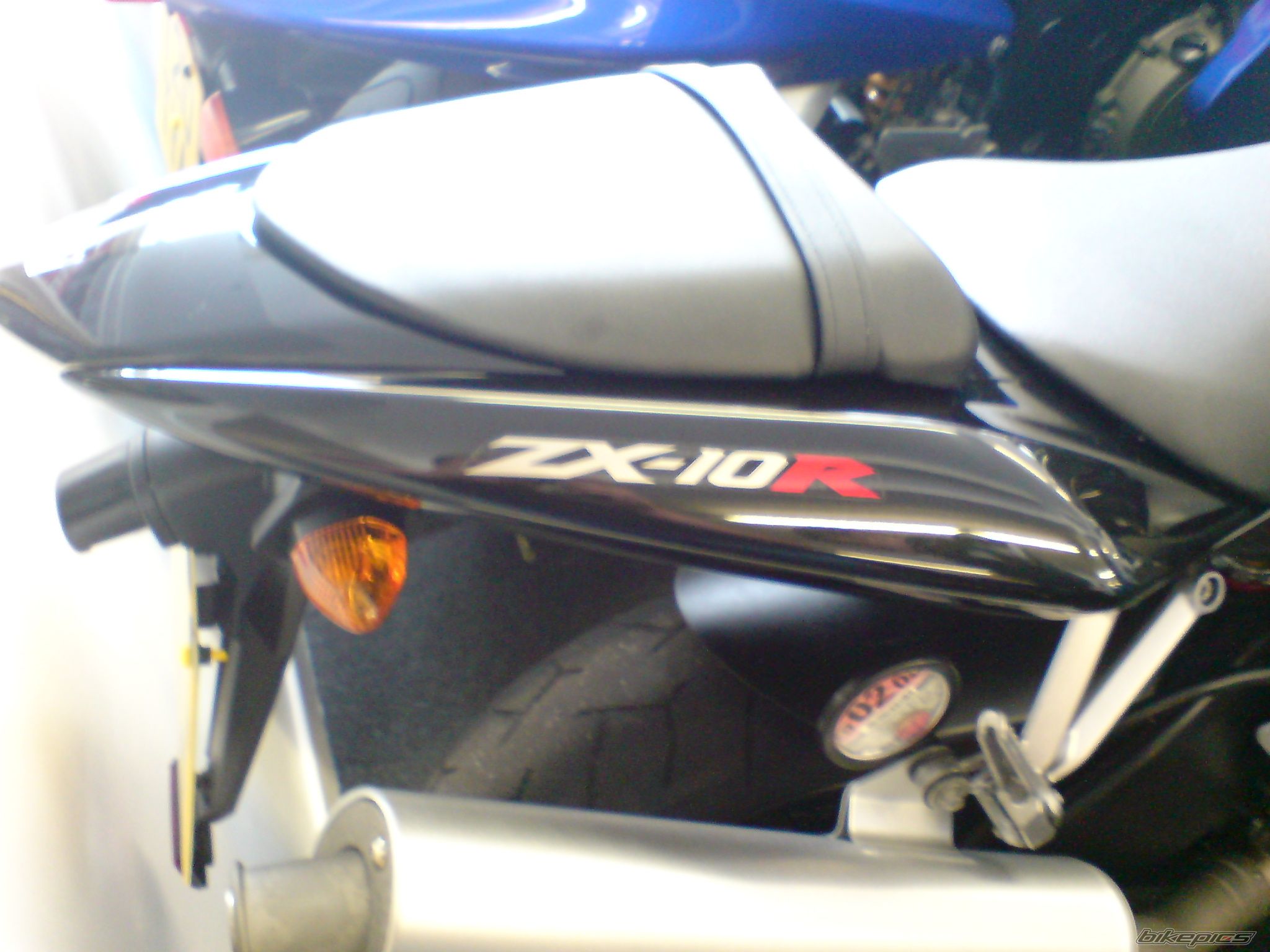 Photo 1237955
