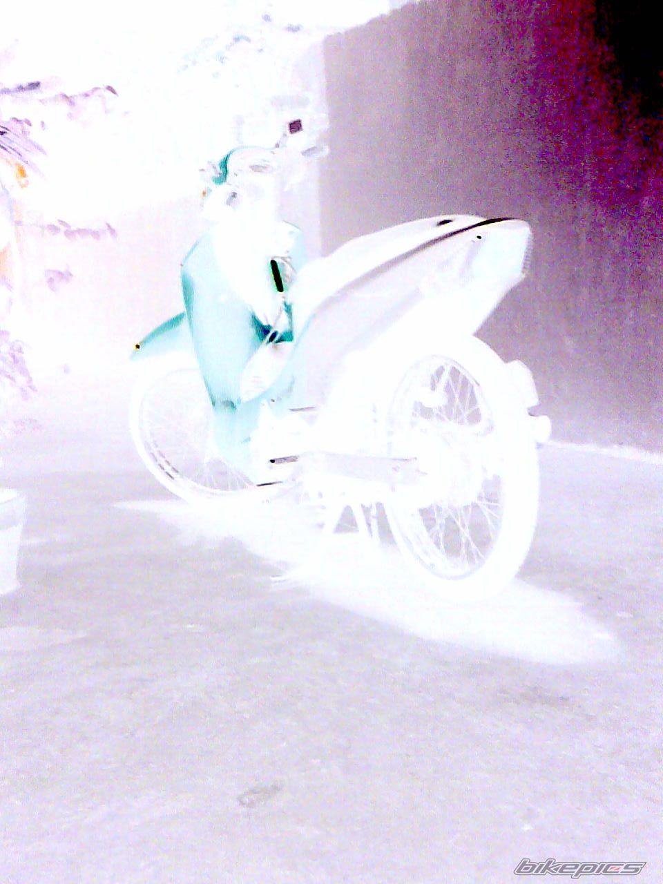Photo 1238006
