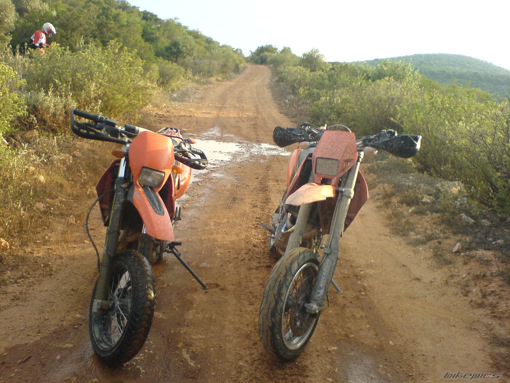 Photo 1238023
