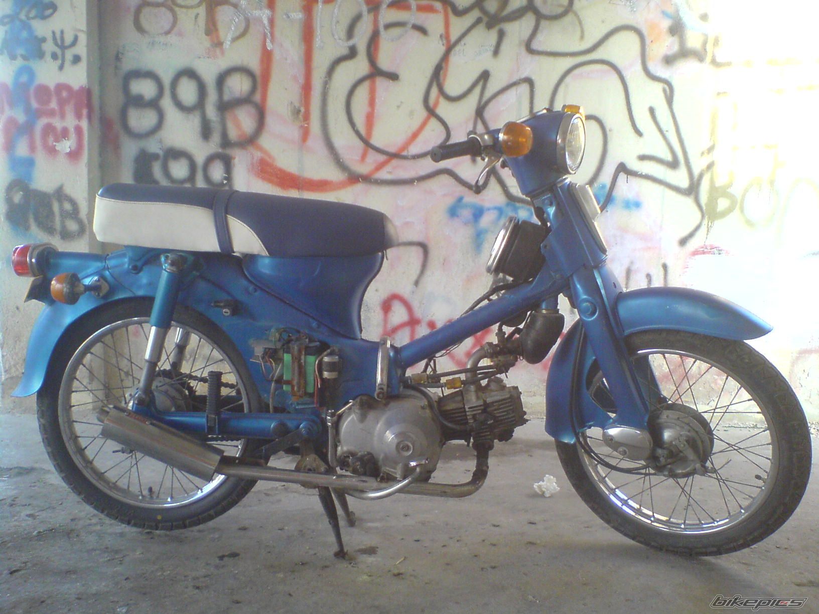 Photo 1238042