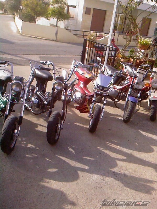 Photo 1238072