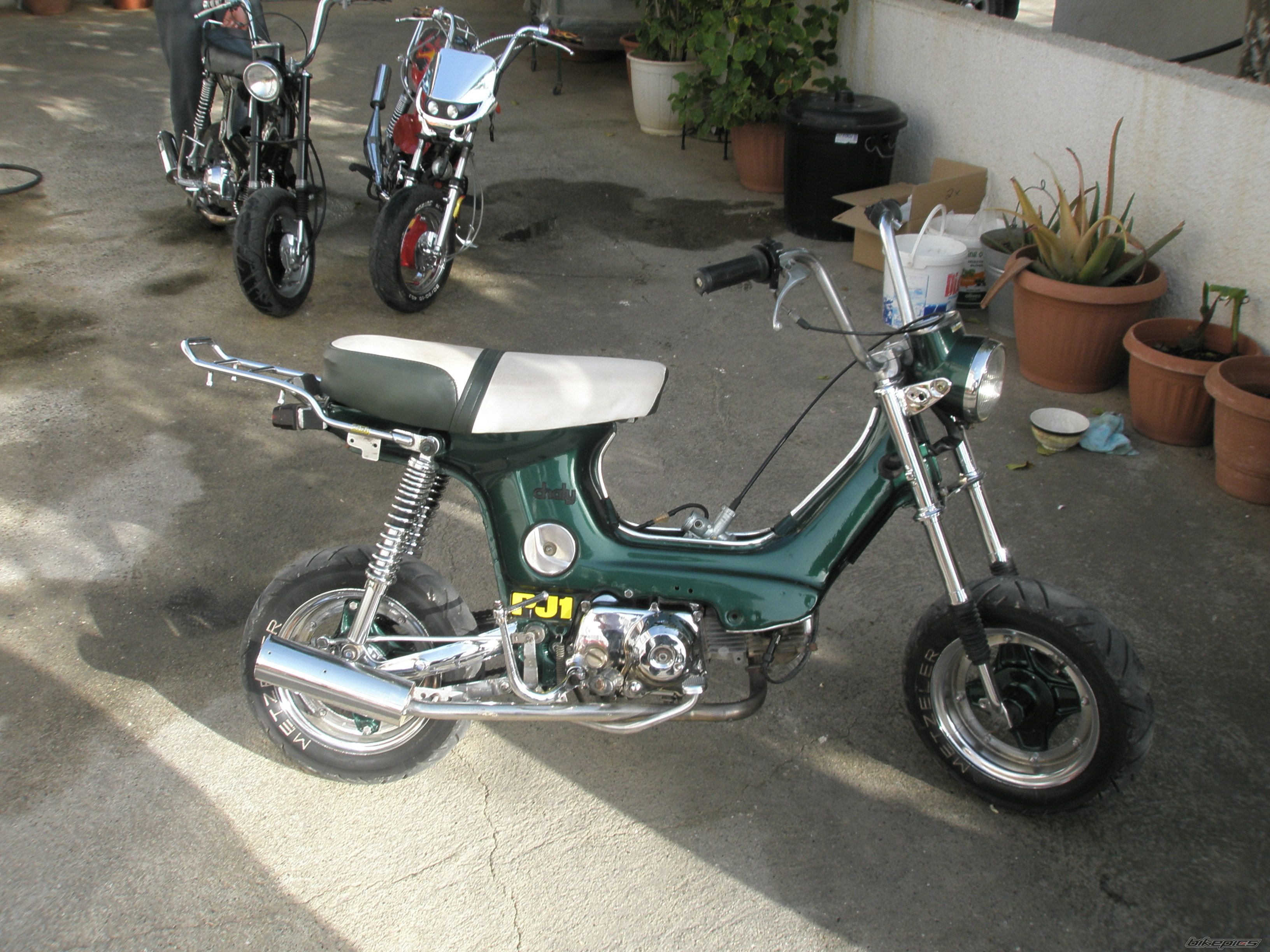 Photo 1238081