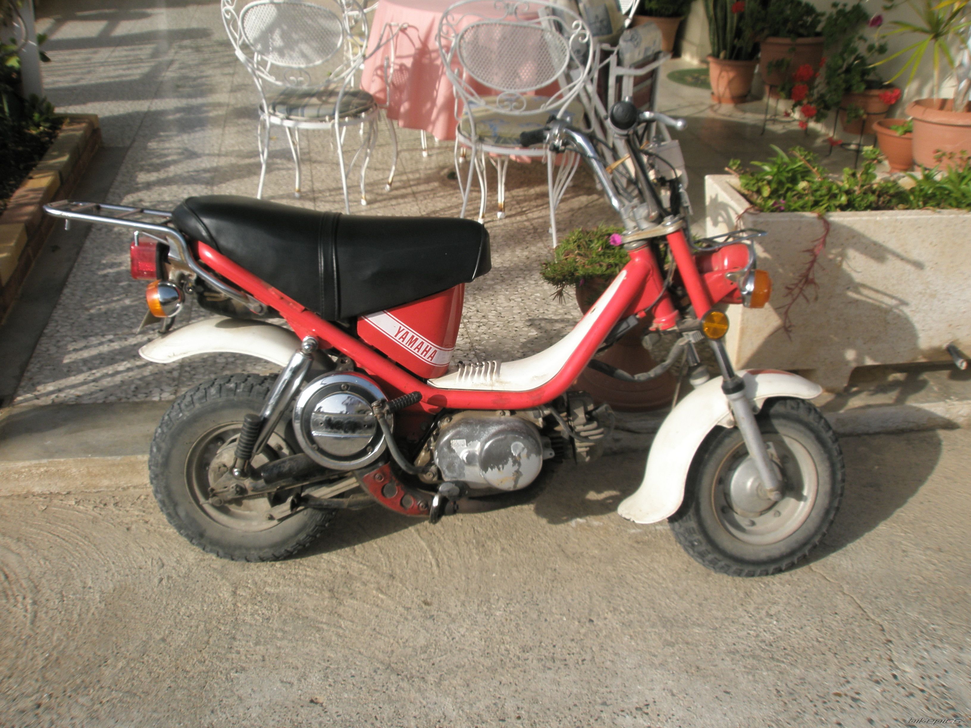 Photo 1238095