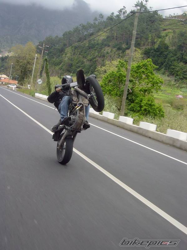 Photo 123811