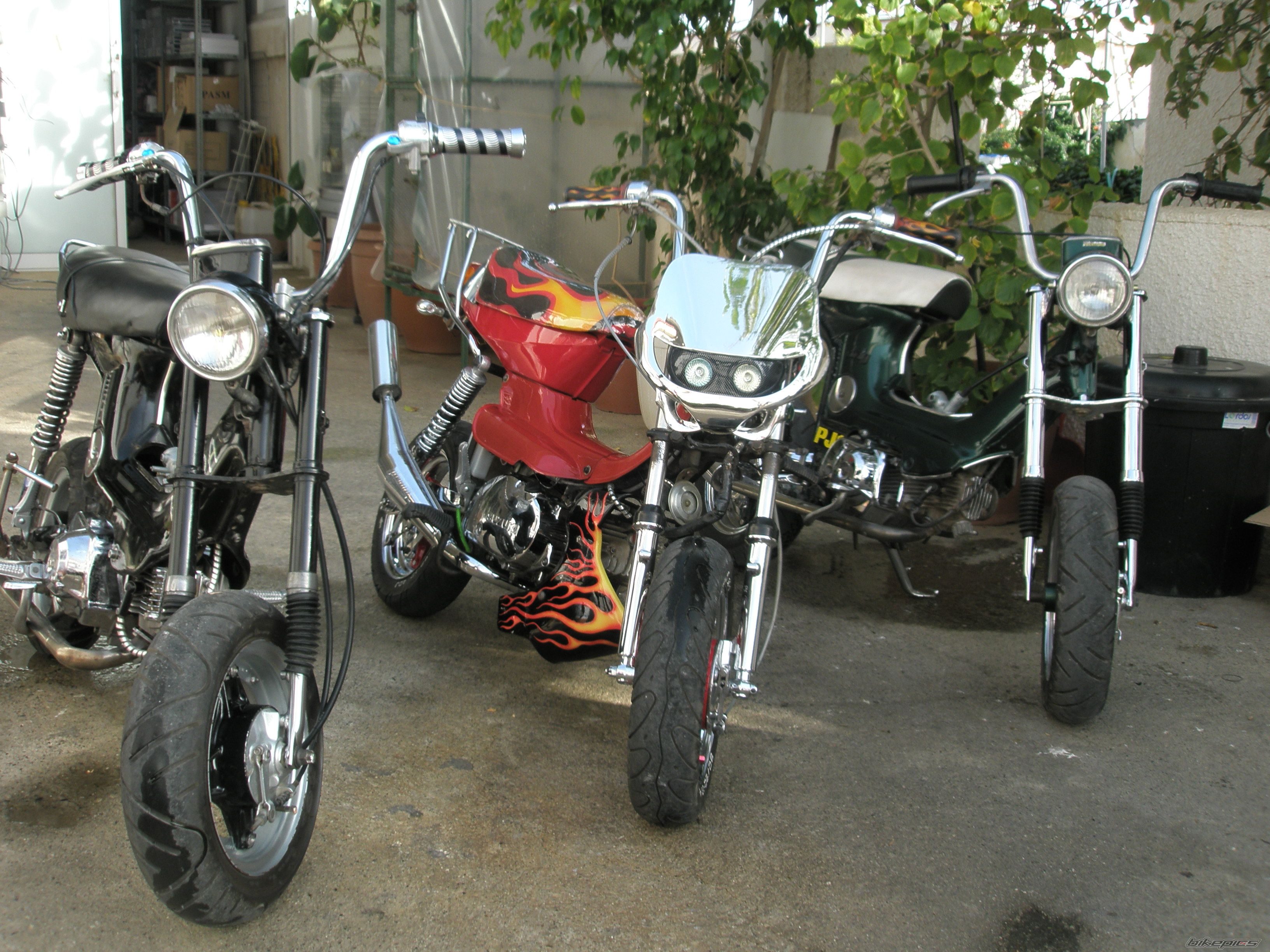 Photo 1238125