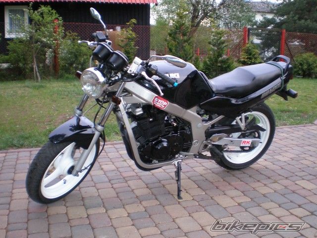 Photo 1238152