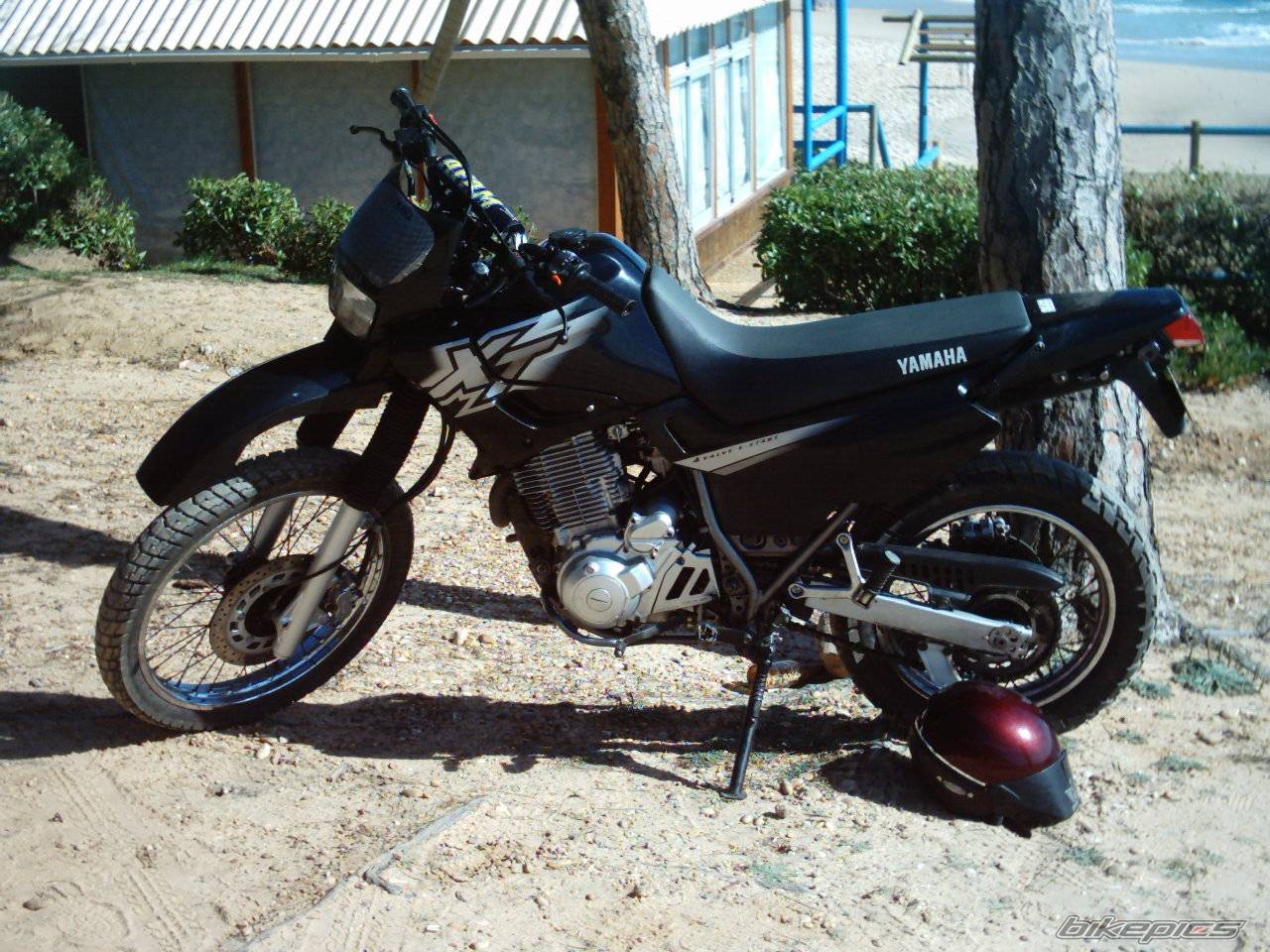 Bike Photo 123817