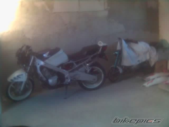 Bike Photo 1238232