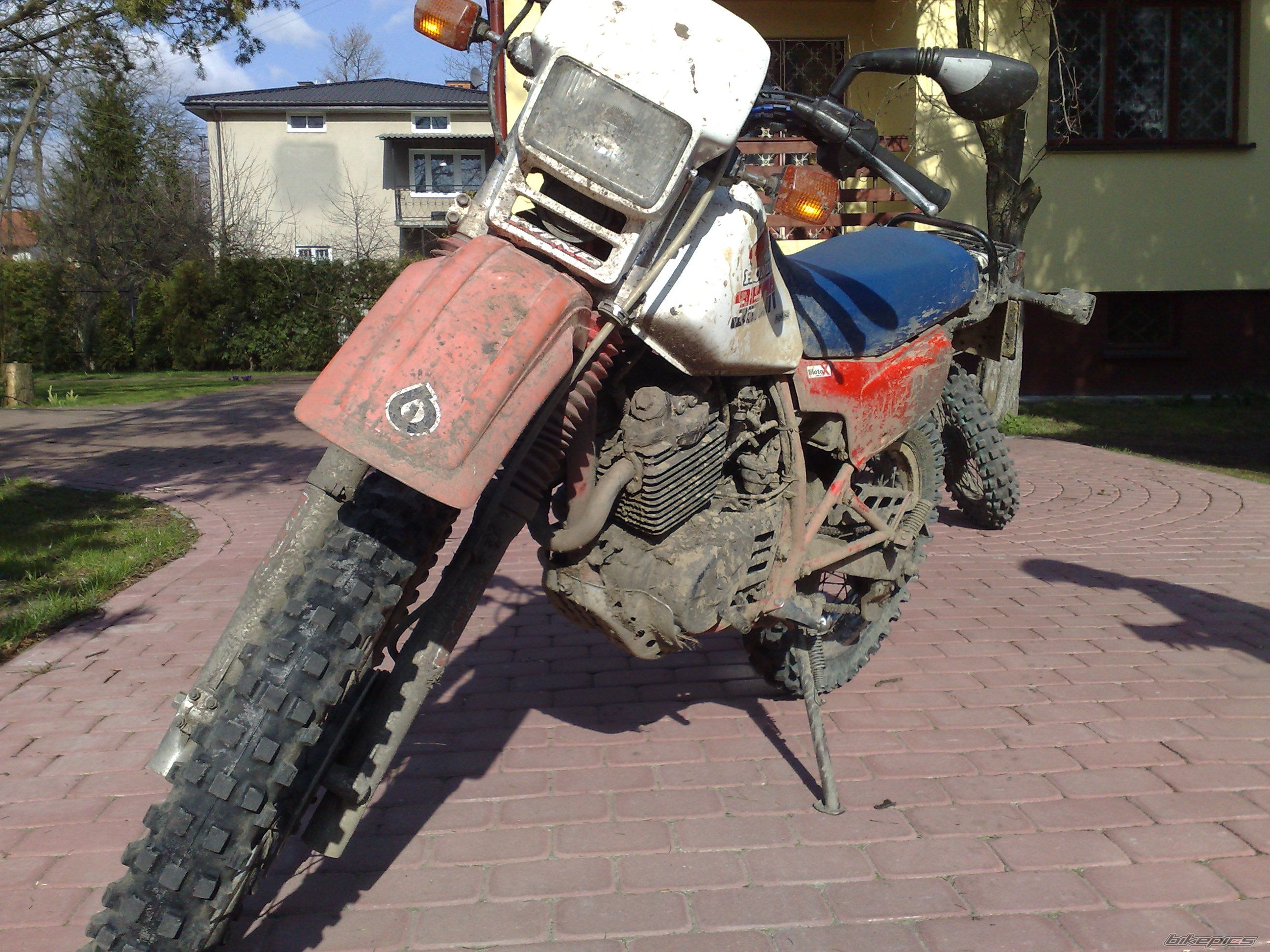Photo 1238271