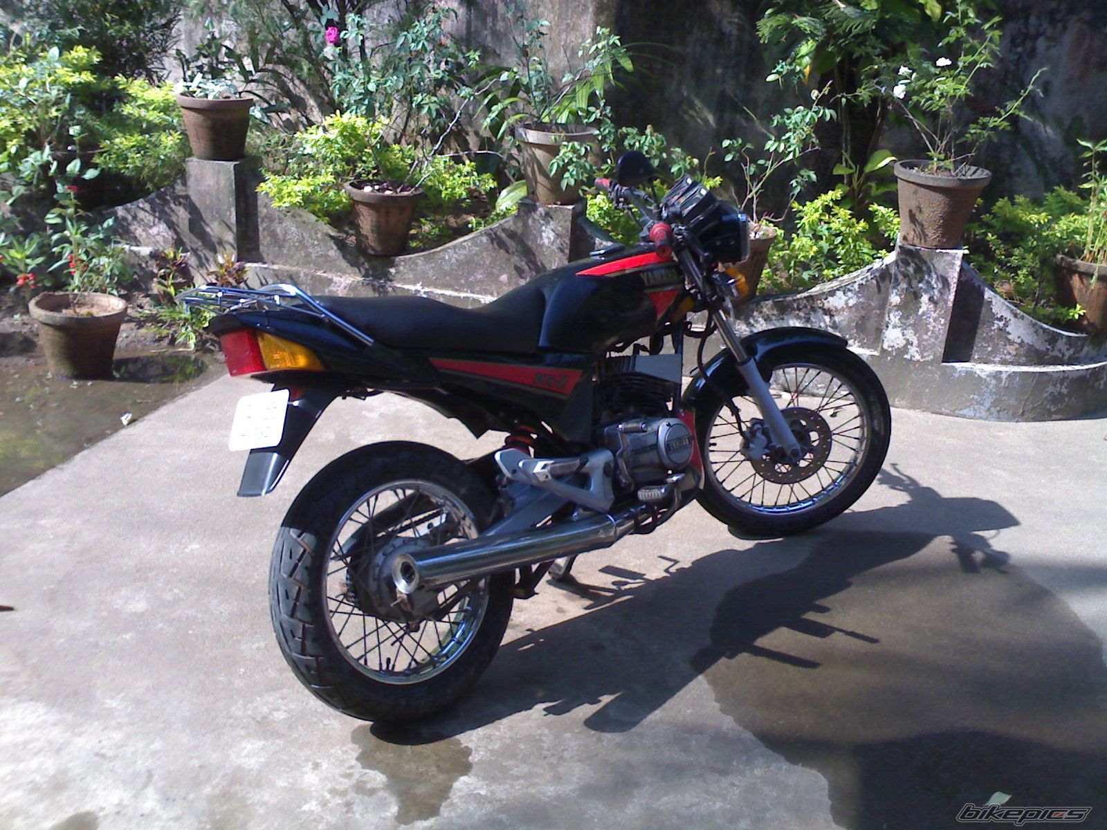 Photo 1238320