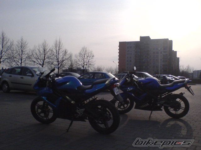 Photo 1238395