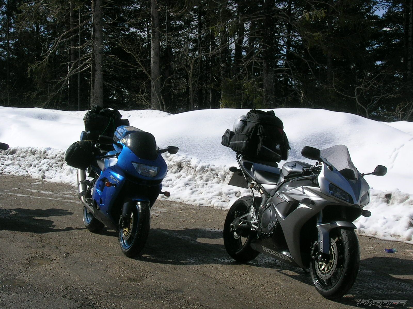 Photo 1238428