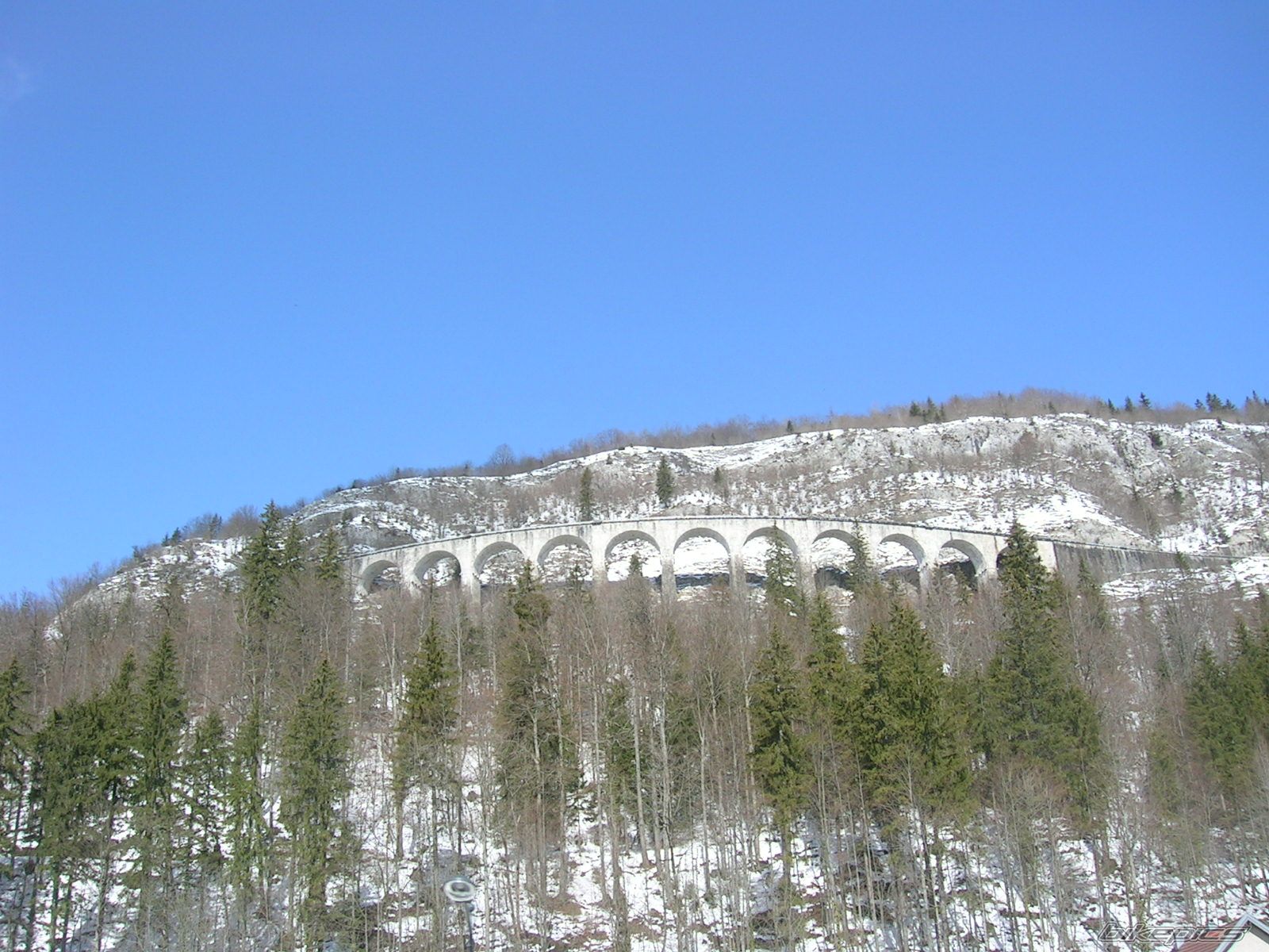 Photo 1238433