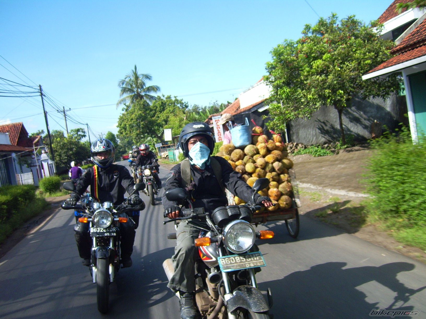 Photo 1238569
