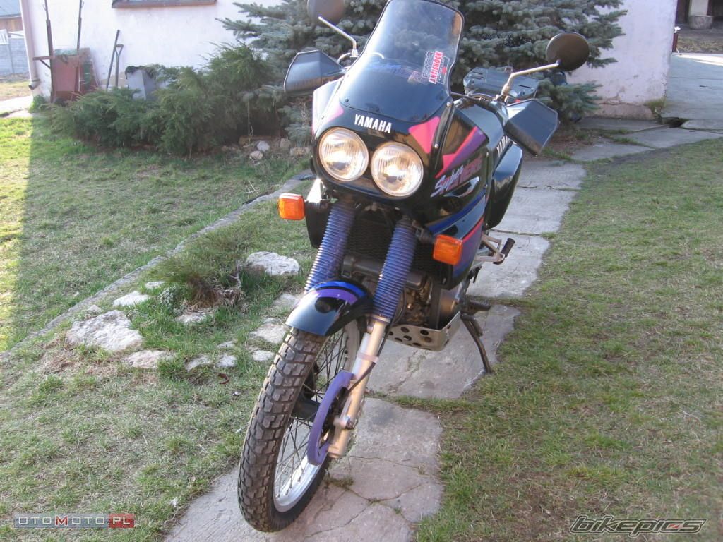 Photo 1238624