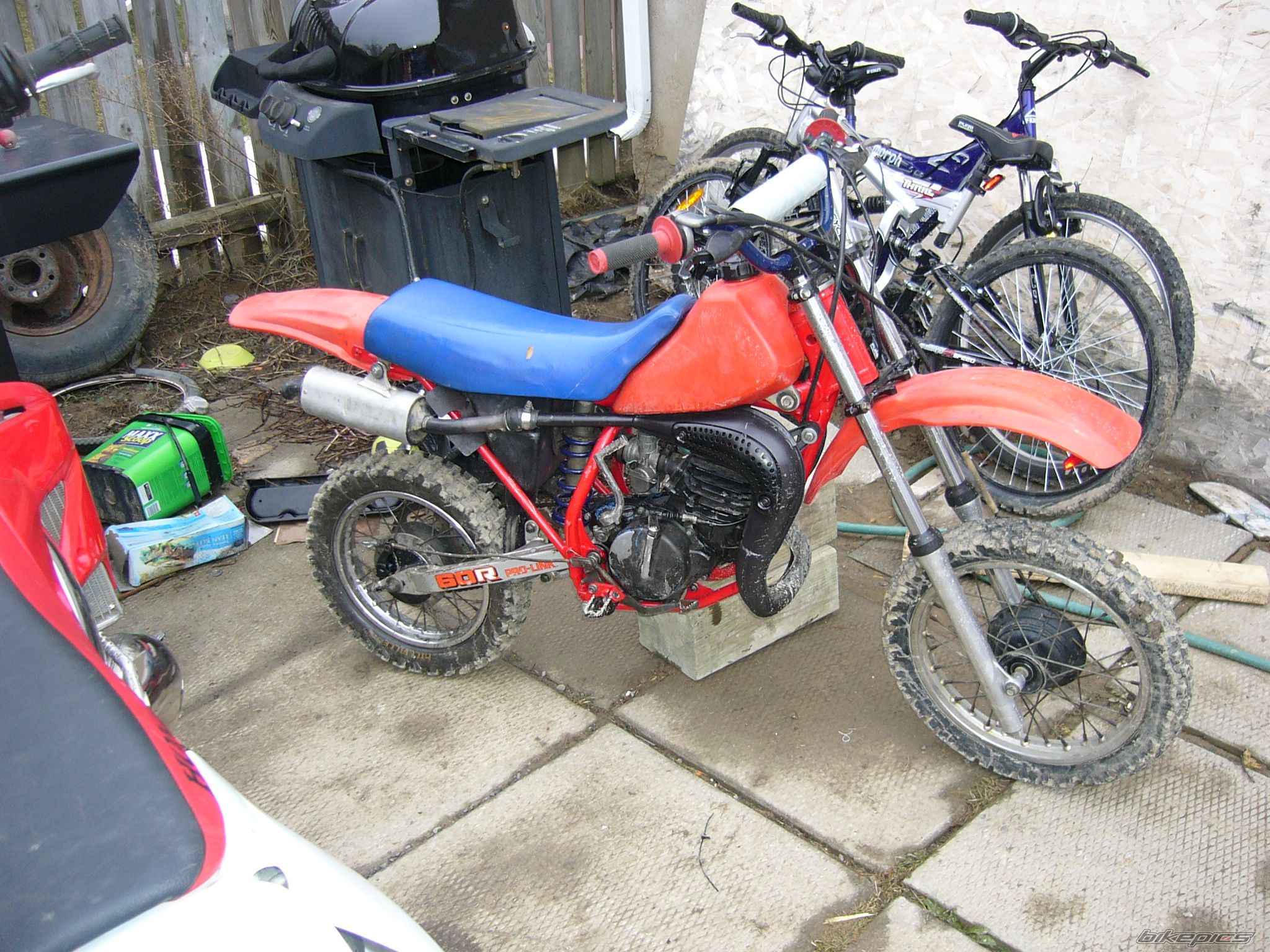 Photo 1238654