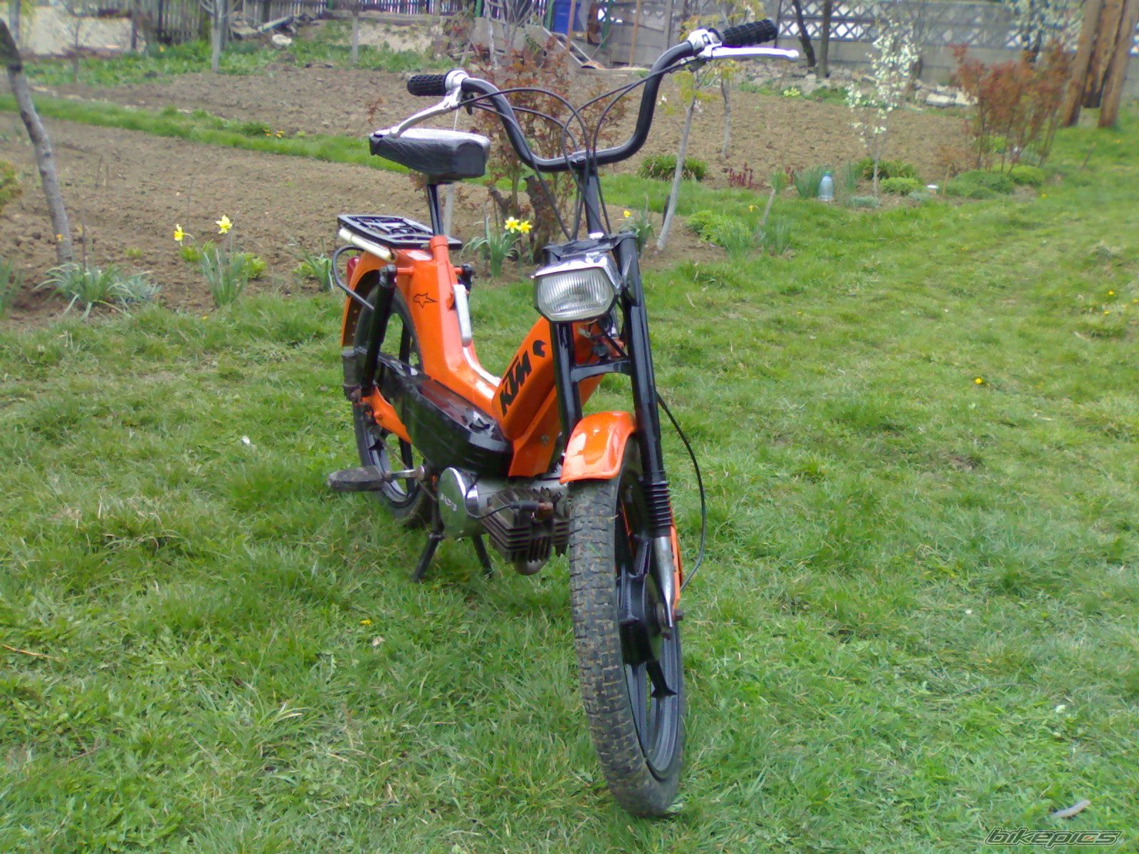 Photo 1238740
