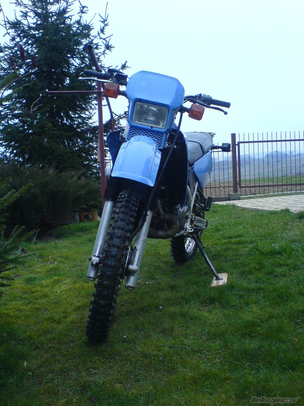 Photo 1238767