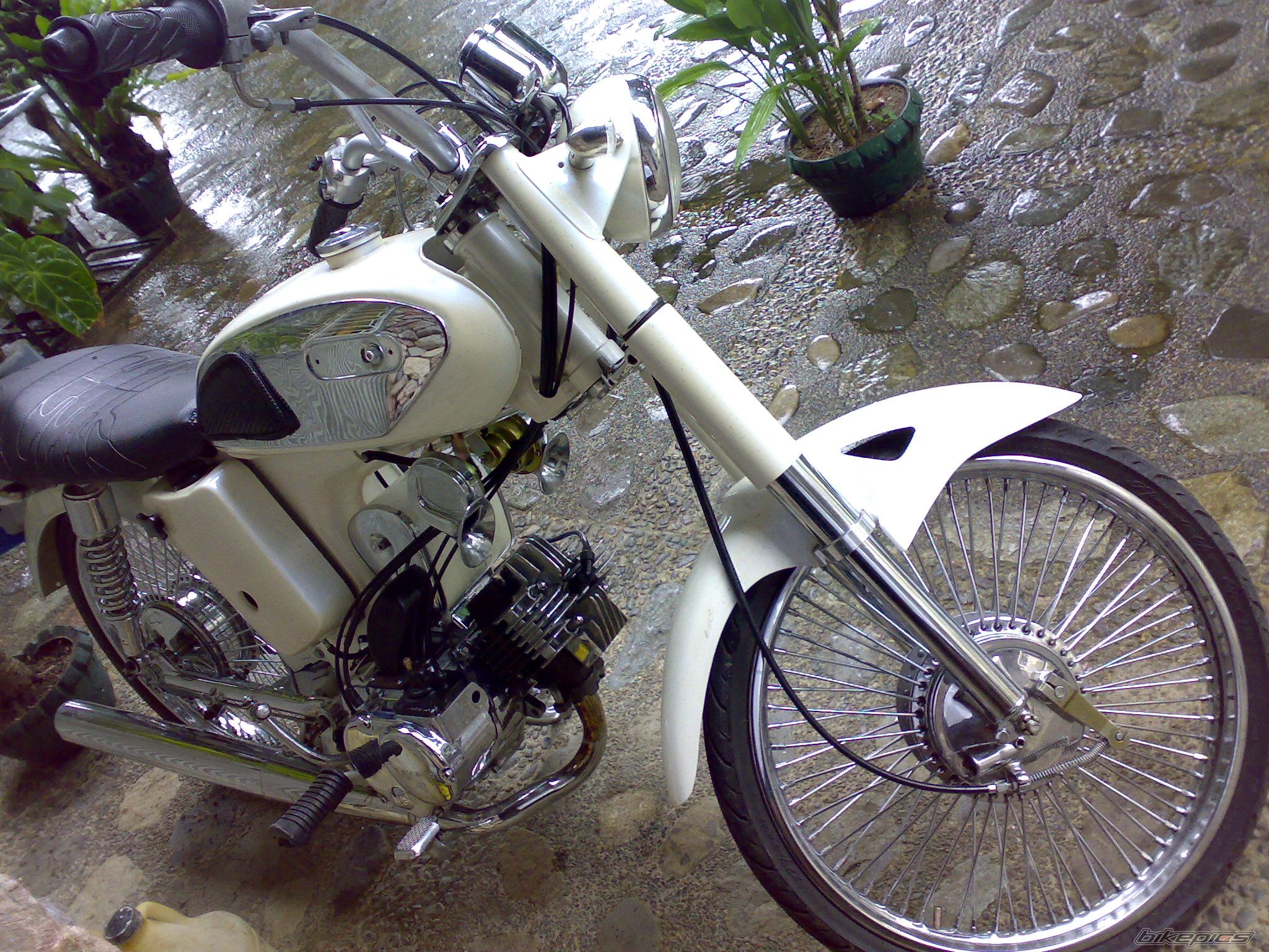 Bike Photo 1238802