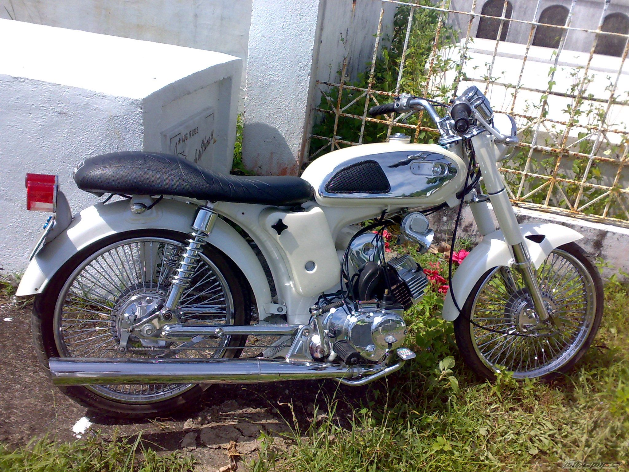 Photo 1238821