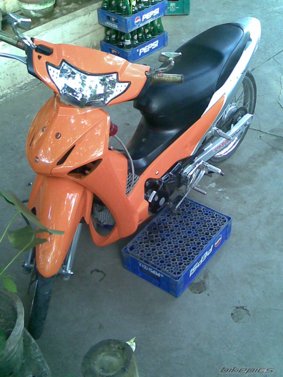 Photo 1238872