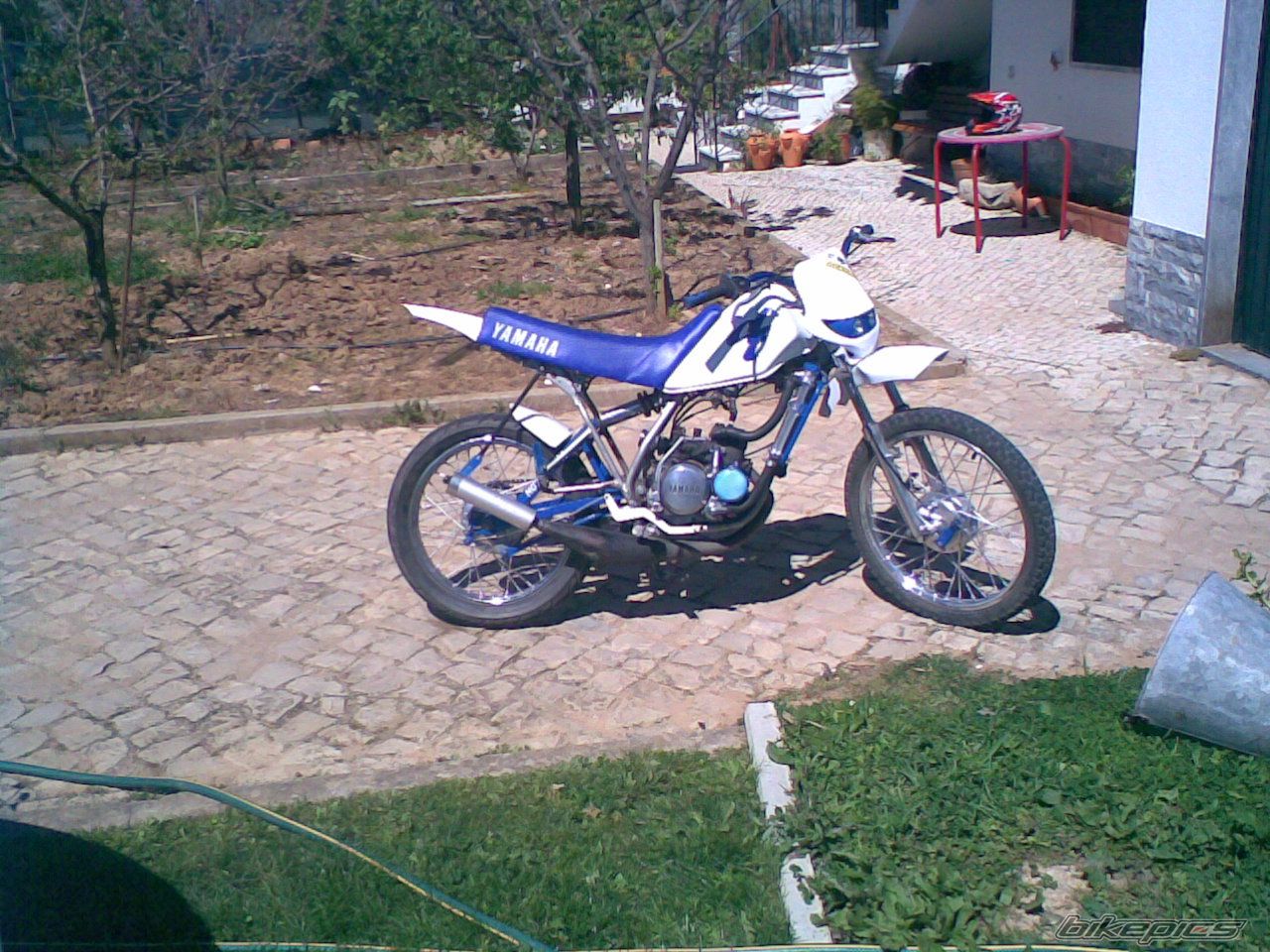 Photo 1238885