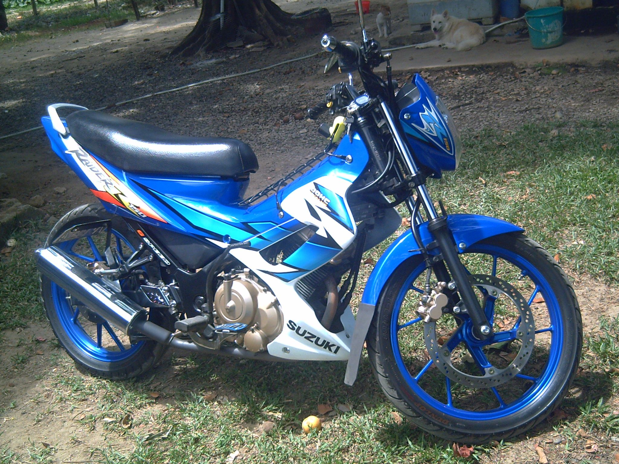 Bike Photo 1238891