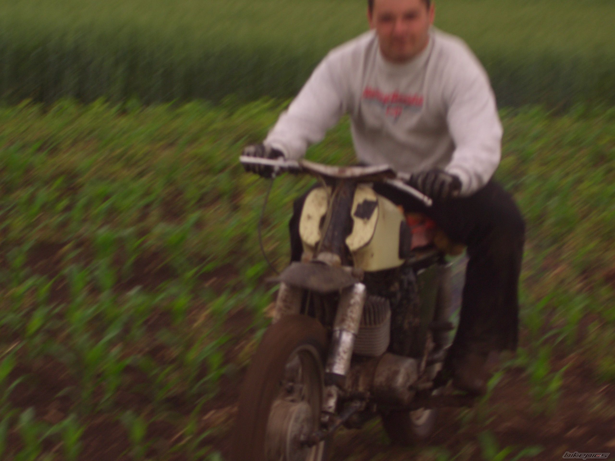 Photo 1238896
