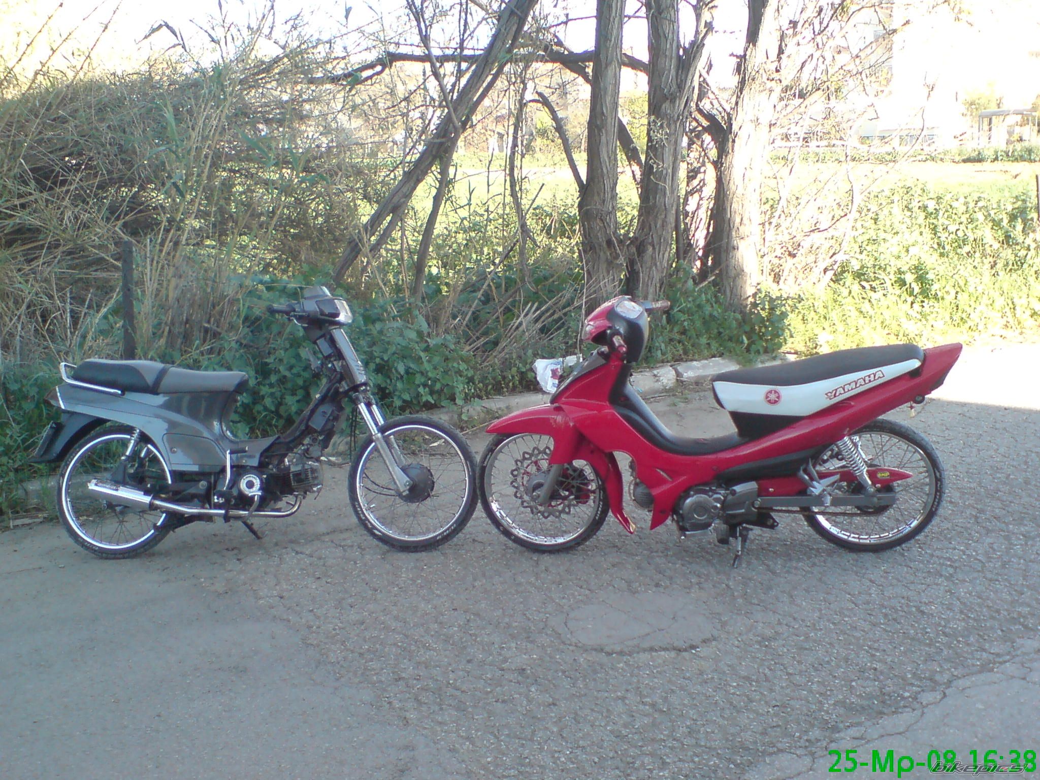 Bike Photo 1239089