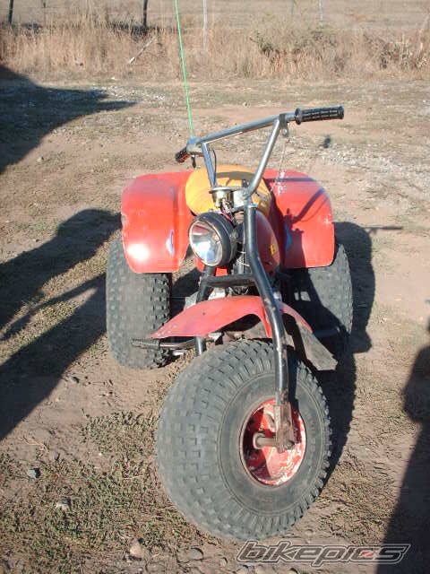Photo 1239280