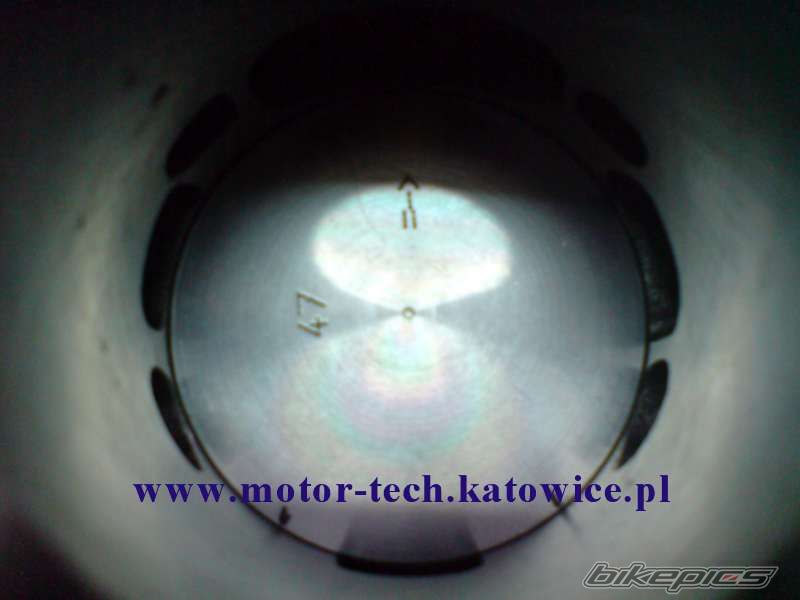 Photo 1239351