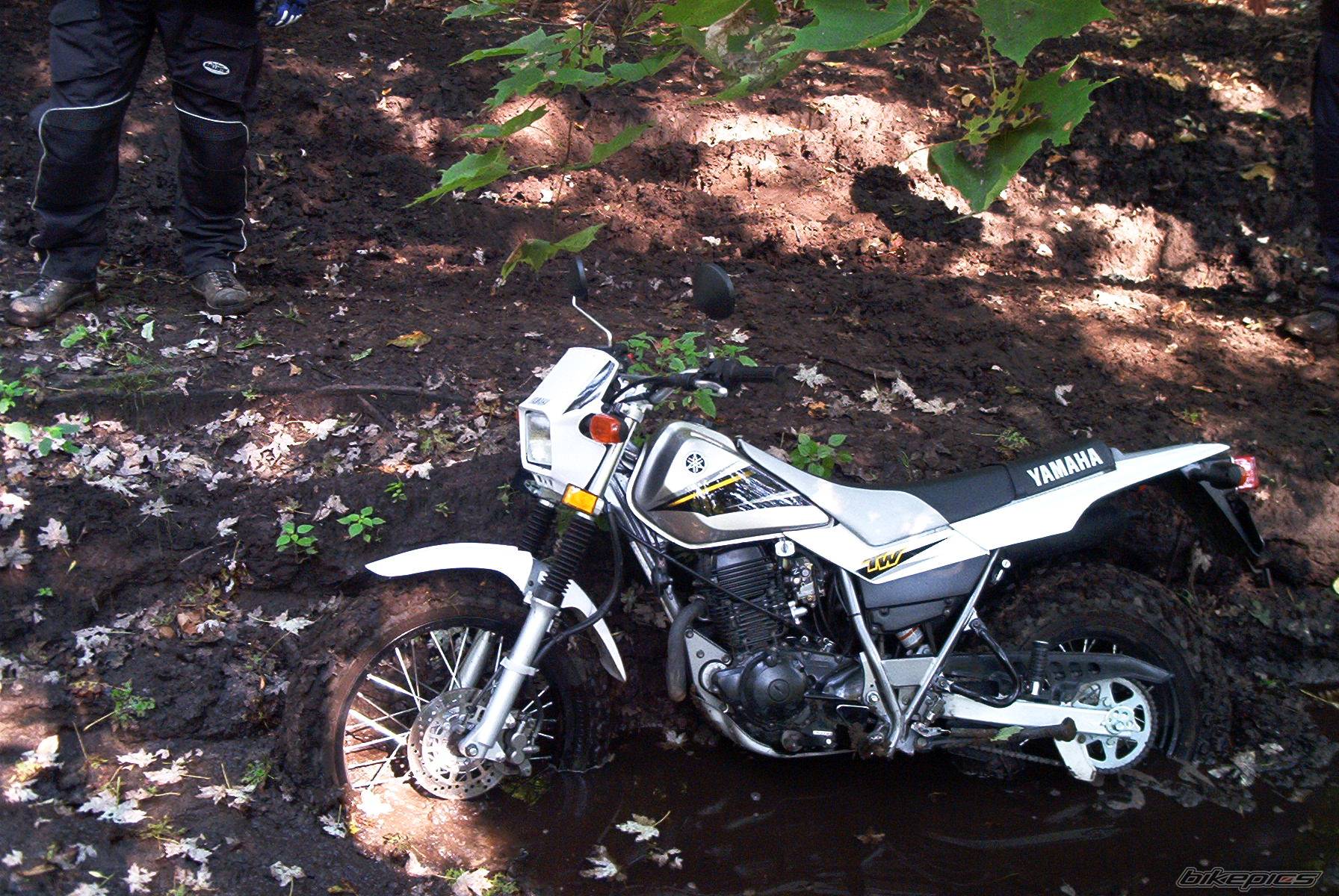 Photo 123942