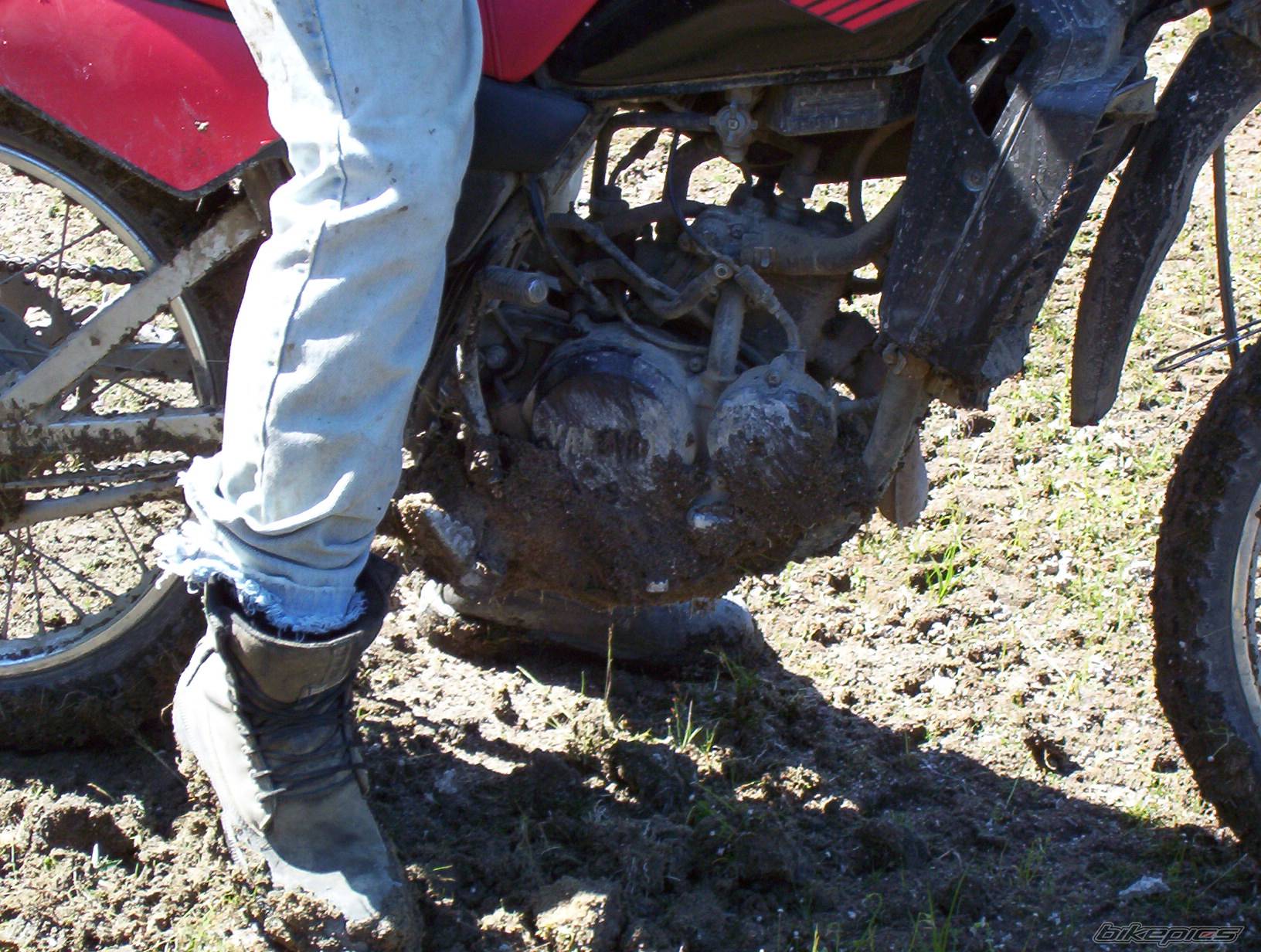 Bike Photo 123943