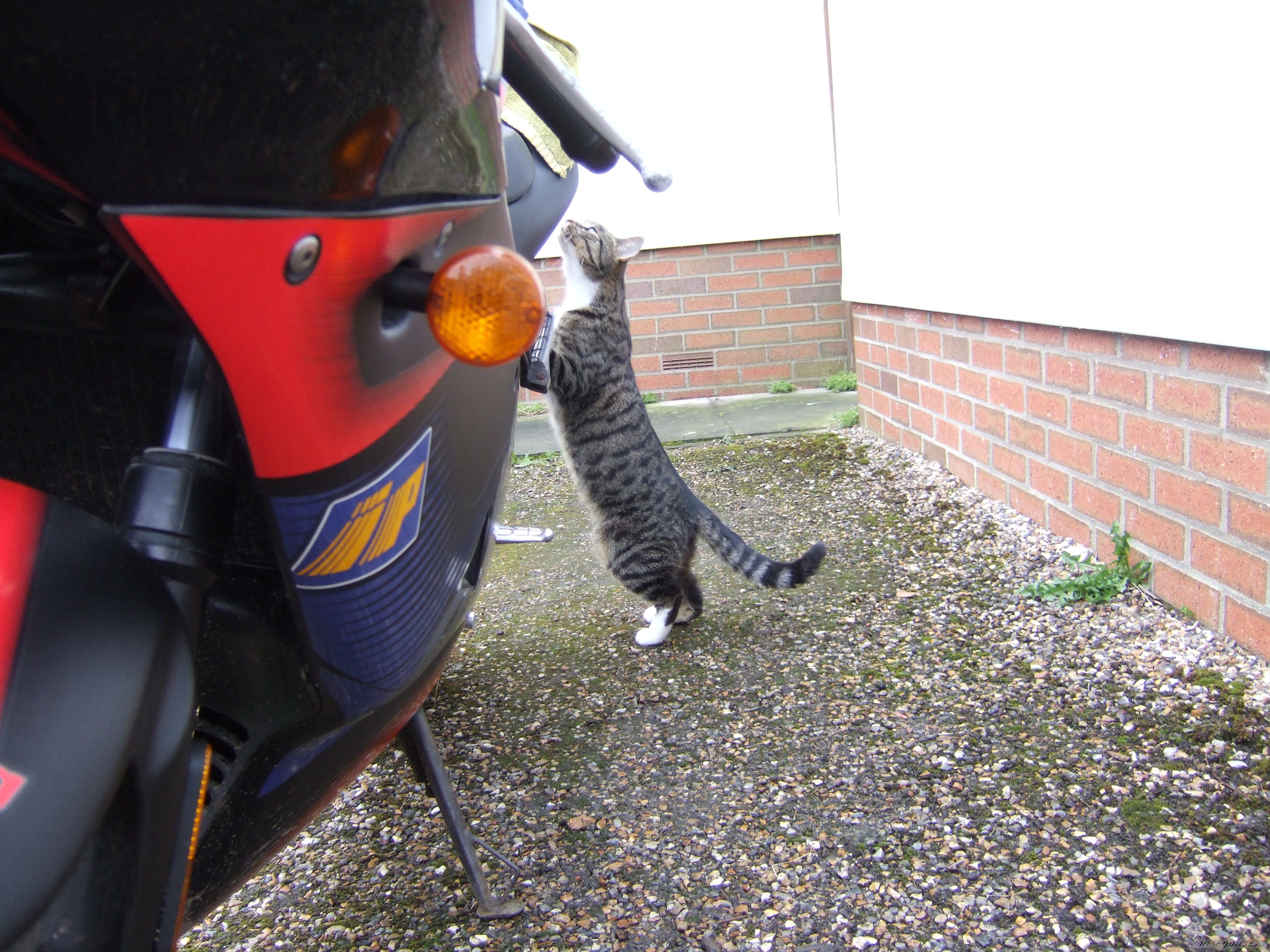 Bike Photo 1239446