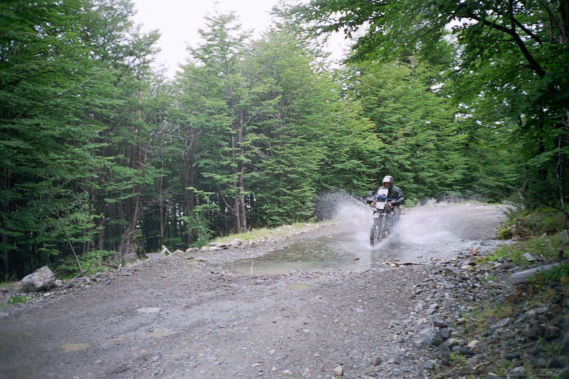 Photo 1239483