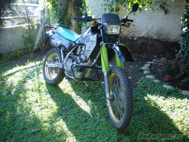 Photo 1239496