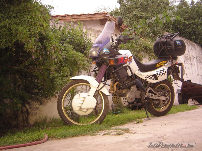 Photo 1239504