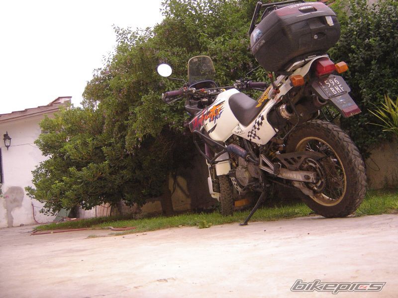 Photo 1239505
