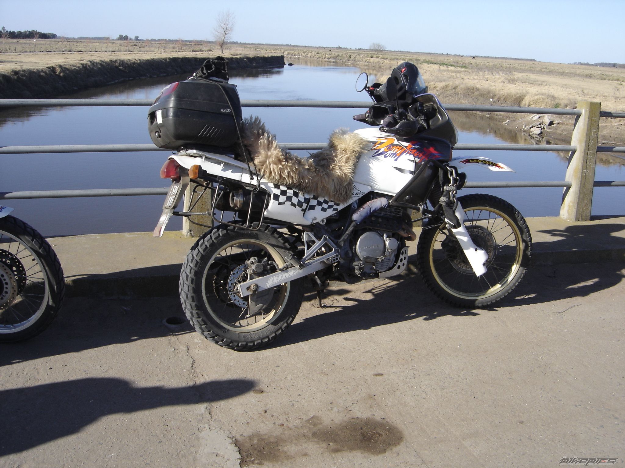 Photo 1239507