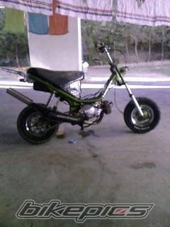 Photo 1239571
