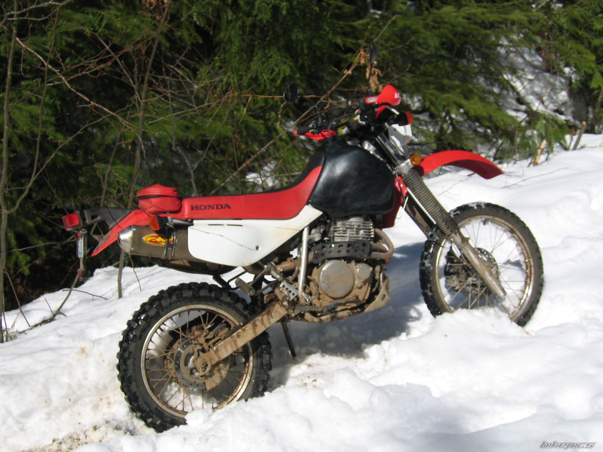 Photo 1239721